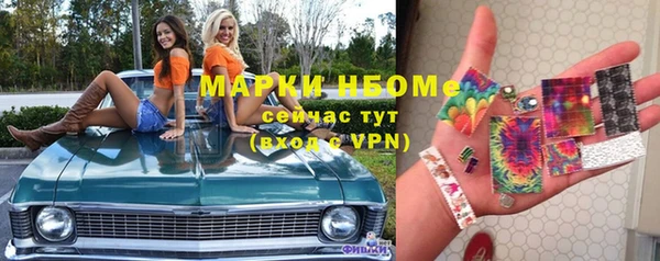 мдпв Краснослободск